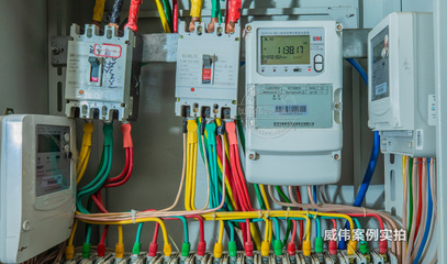 廣州卡爾蔡司工業(yè)園區(qū)能耗監(jiān)測系統(tǒng)在電表中的應(yīng)用案例